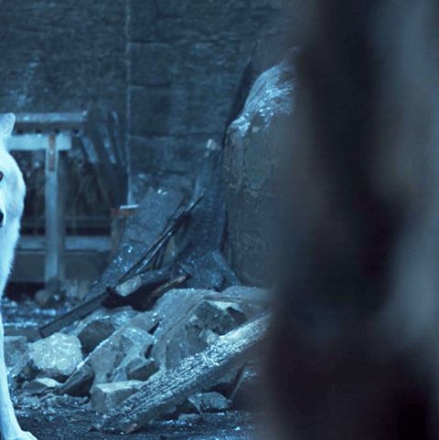 Jon Snow S Goodbye To Ghost Has Game Of Thrones Fans Furious
