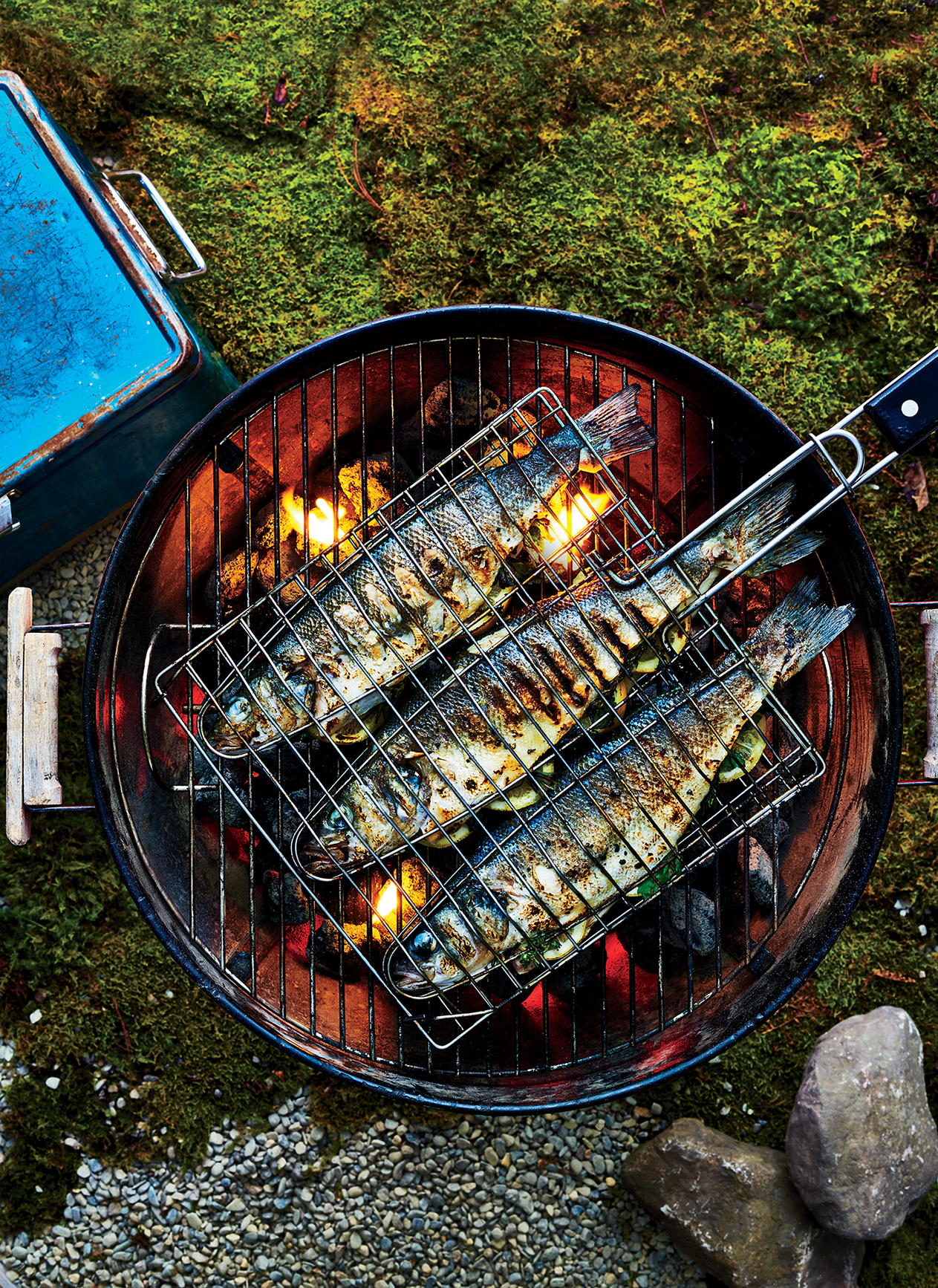 bbq fish rack