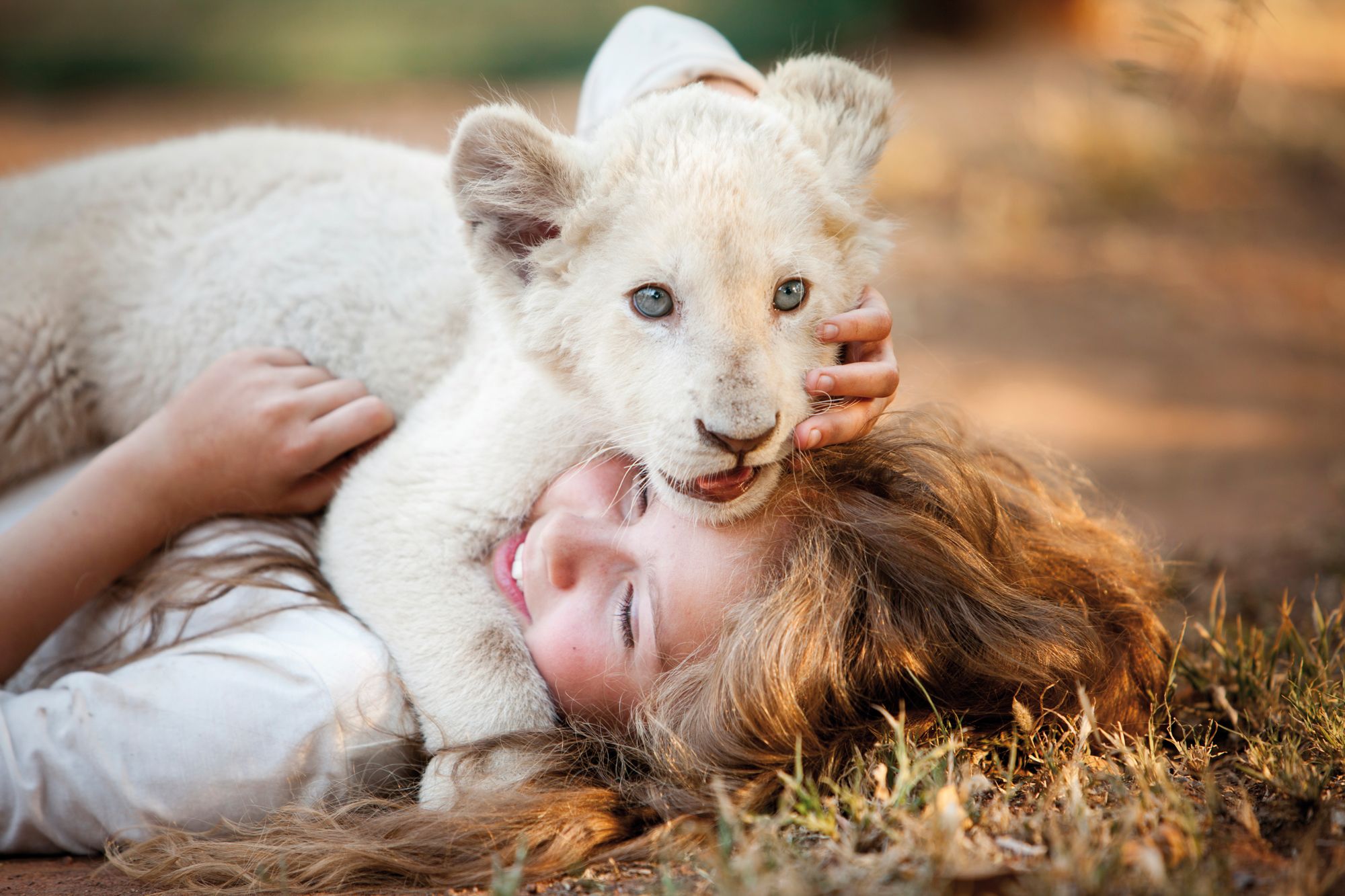 Resultado de imagen de mia y el leon blanco