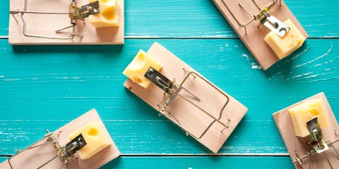 How To Get Rid Of Mice In Your House 8 Best Ways To Keep Mice Away