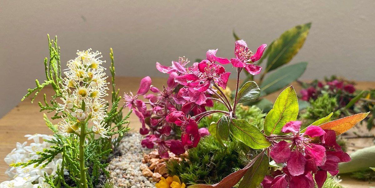 Michael Perry Shows How To Make Plot On A Plate Miniature Garden