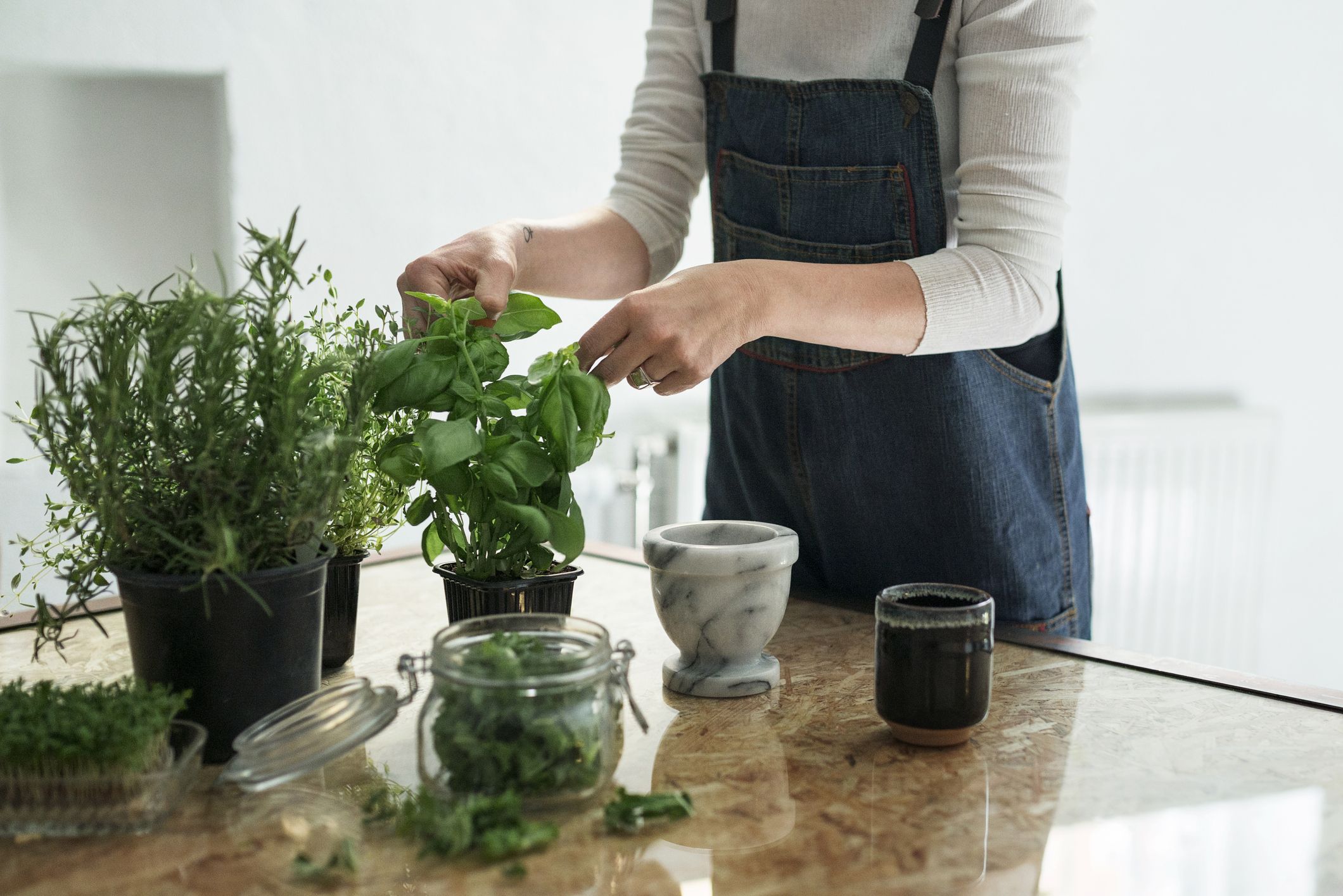 Easiest Herbs To Grow For Indoor And Outdoor Gardens