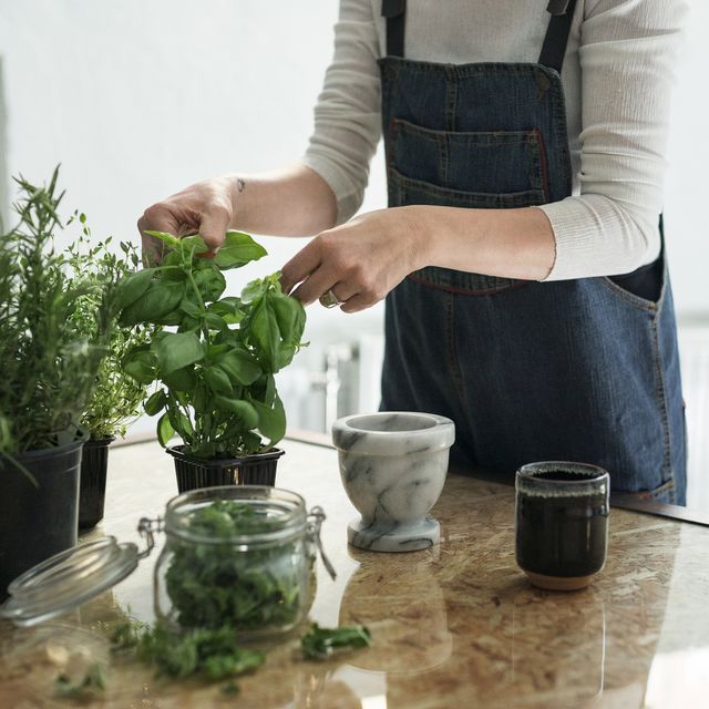 Easiest Herbs To Grow For Indoor And Outdoor Gardens