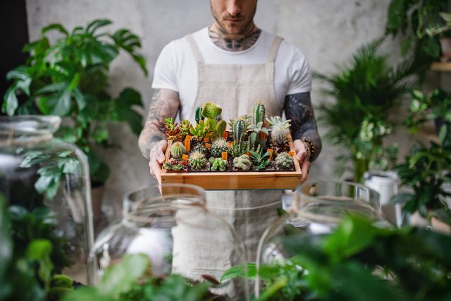 midsection of man florist standing in flower and plant shop, holding cacti and succulents
