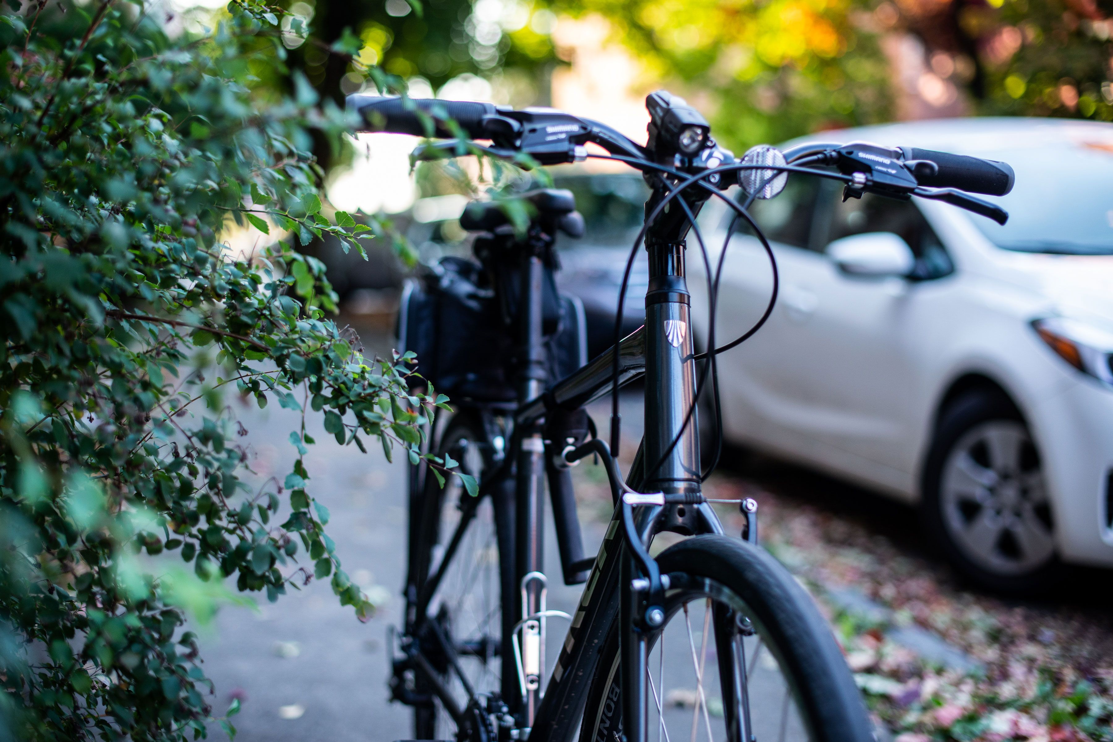 free bikes near me