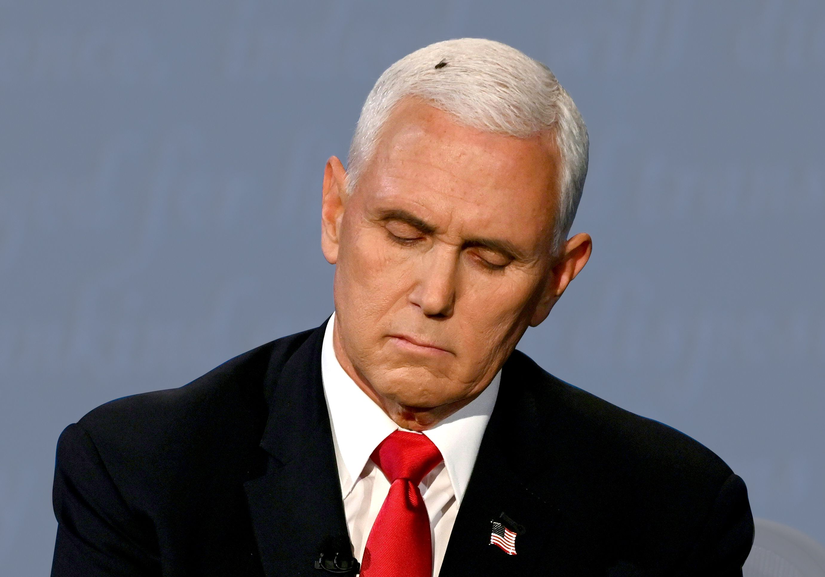 Fly On Mike Pence S Head During Vp Debate Sparks A Thousand Memes Social Media Reaction To Mike Pence Fly