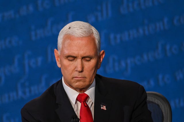 Mike Pence's fly was the main winner of the US VP debate