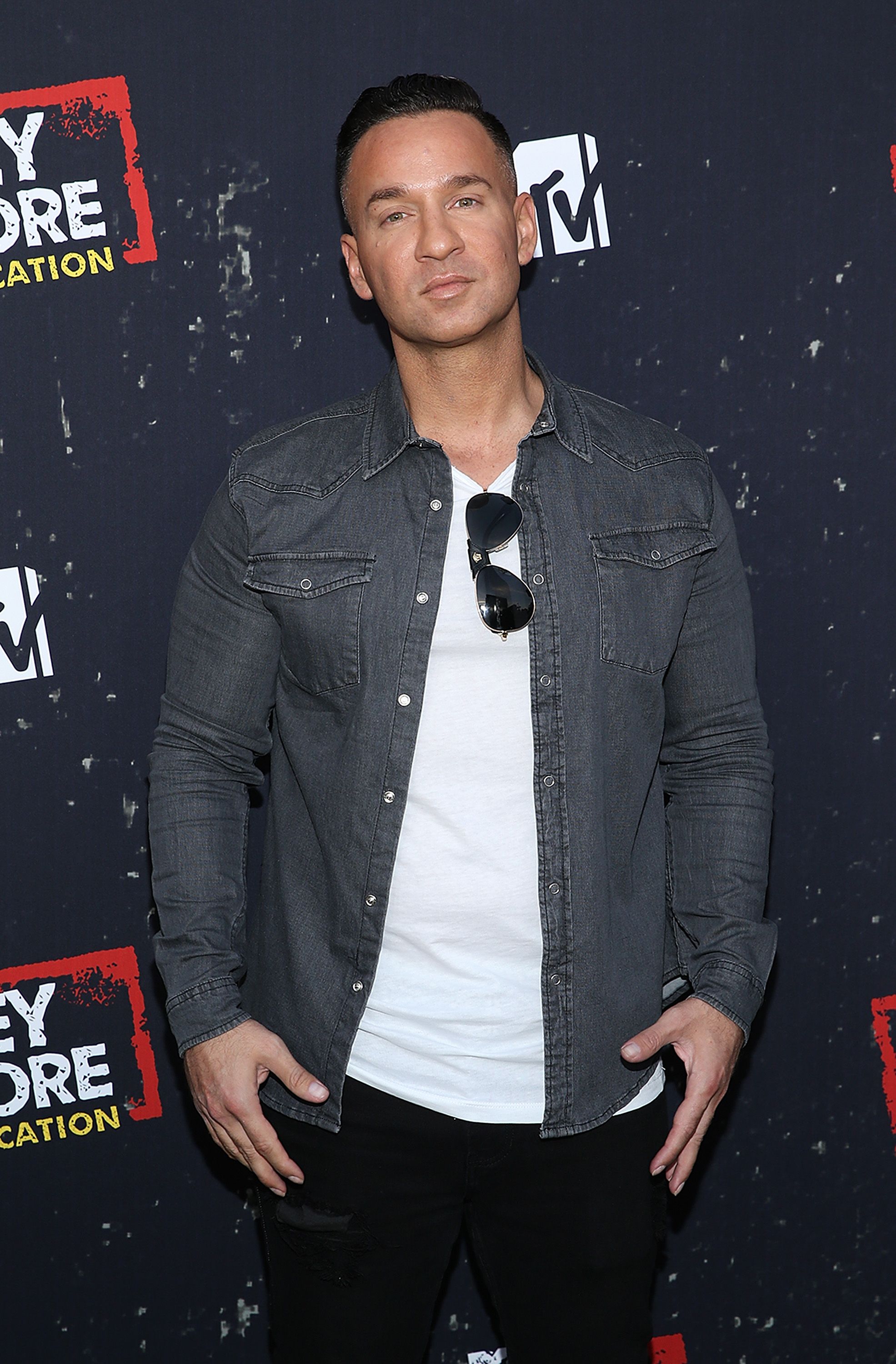 jersey shore mike the situation