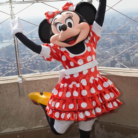 Minnie Mouse Disney Kostüm