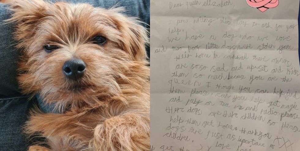 Girl Writes Queen Letter To Help Find Stolen Dogs In Cornwall