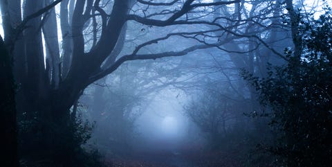 Image result for free images of scary nights