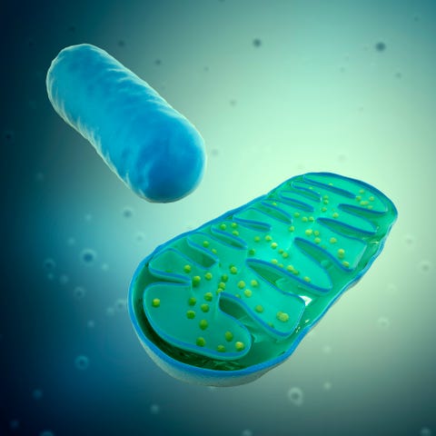 gel de dus natural facut in casa crema de fata pentru ten uscat