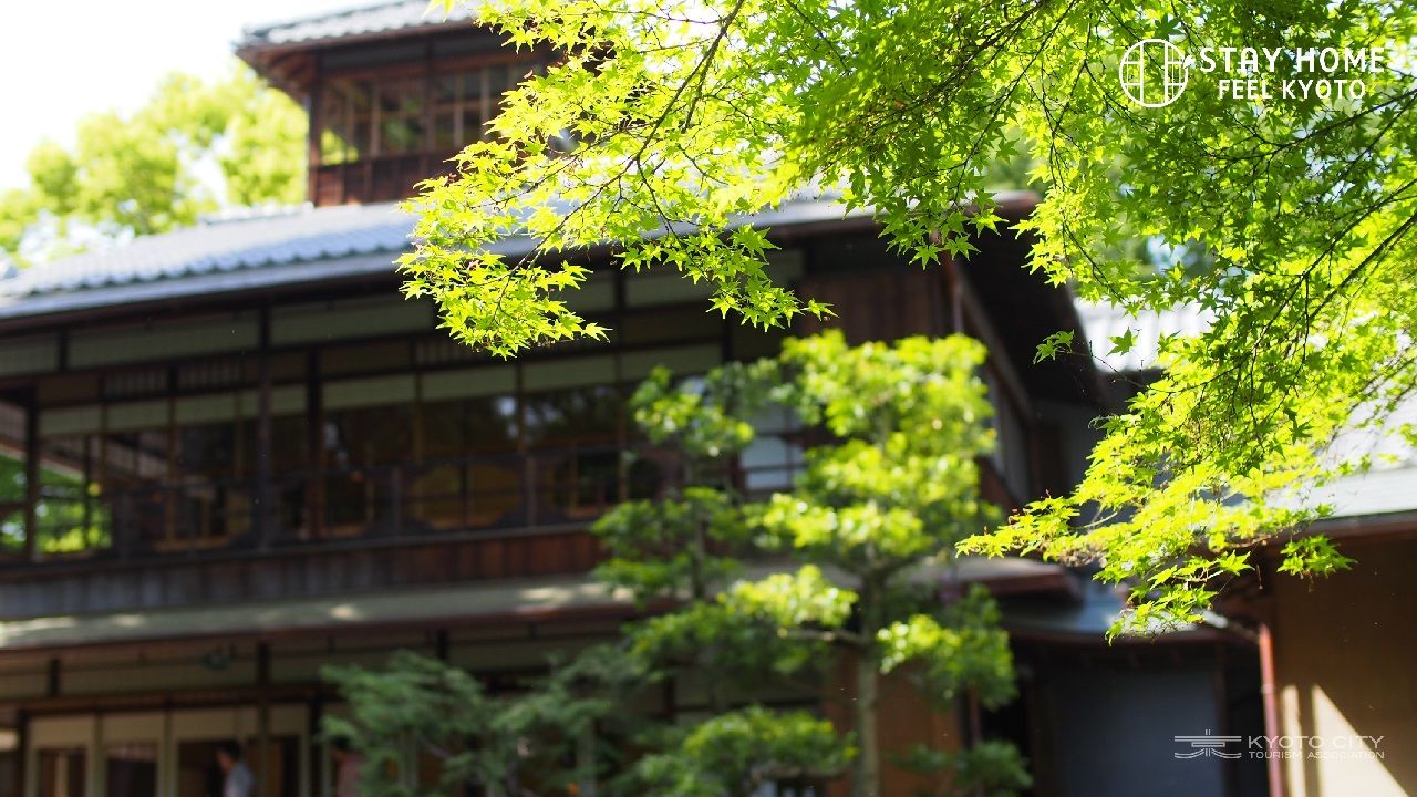 枯山水を眺めながらの座禅 ビデオ通話の壁紙も Stay Home Feel Kyoto おうちで京都