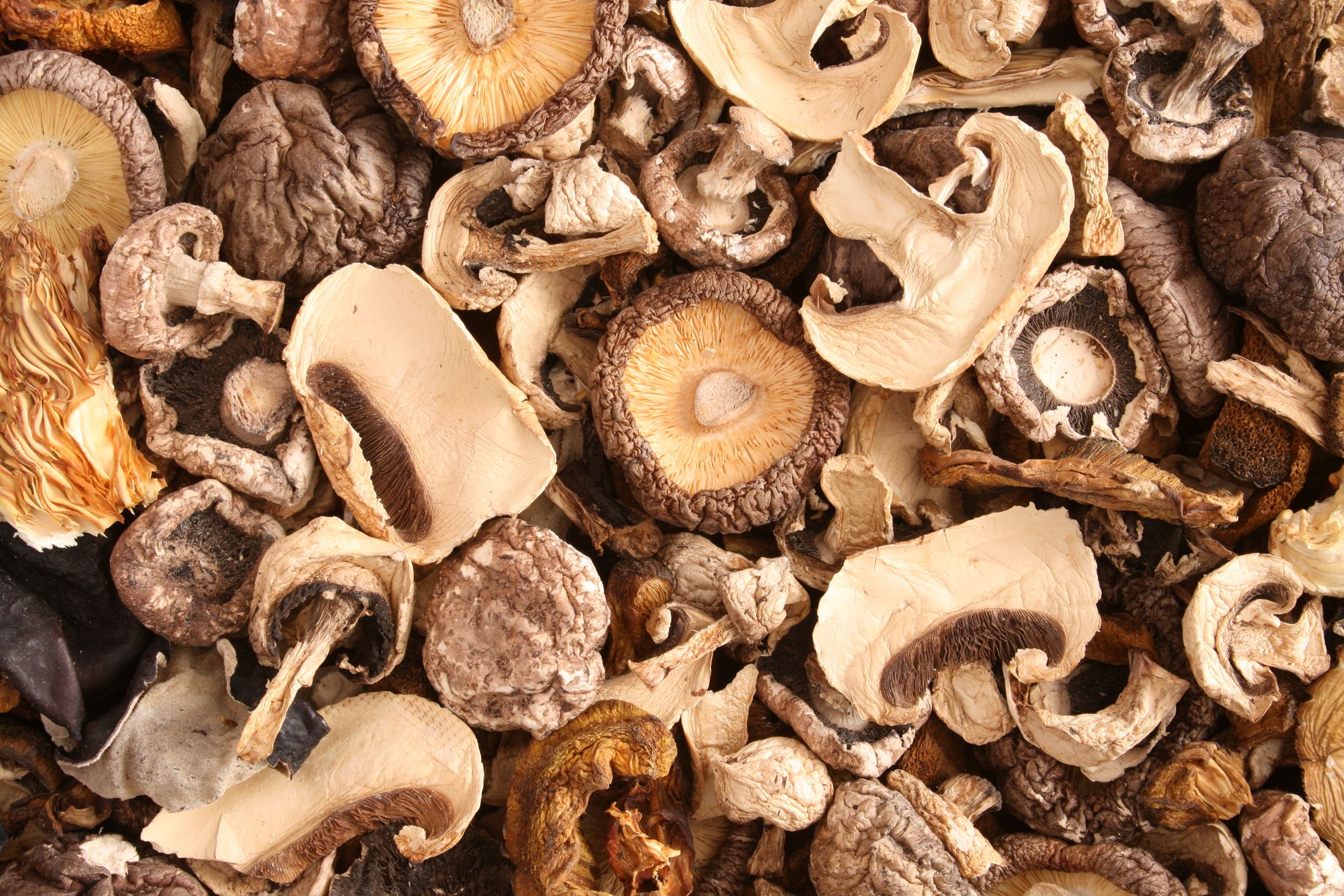This Jerky is Made of Mushrooms. Does That Mean It’s Good For You?