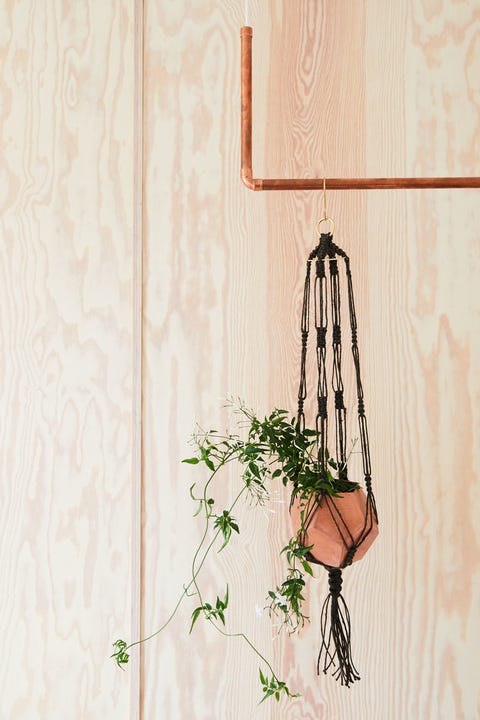 geometric hanging terrarium