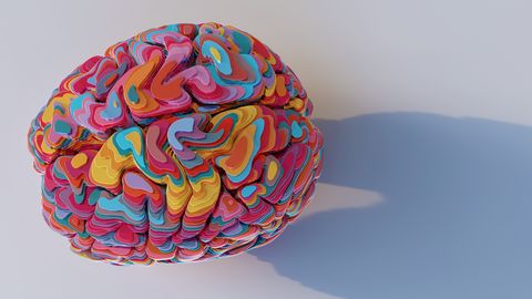 brein in verschillende kleuren