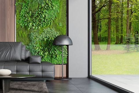 modern country villa living room interior with big portals and windows green moss and plants wall next to big windownature forest background