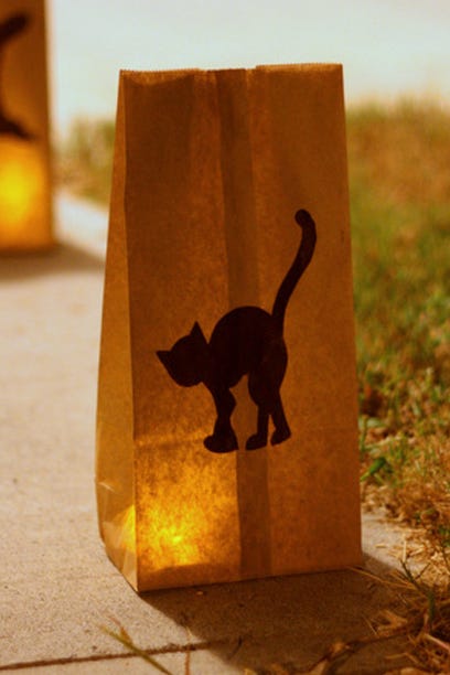 paper bag luminary with a black cat on it