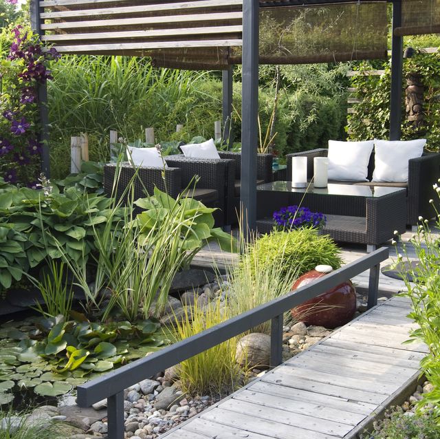a modern furnished patio and pergola with a small pond, water lilys, hostas and clematis