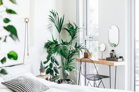 a modern, stylish and bright bedroom with plants