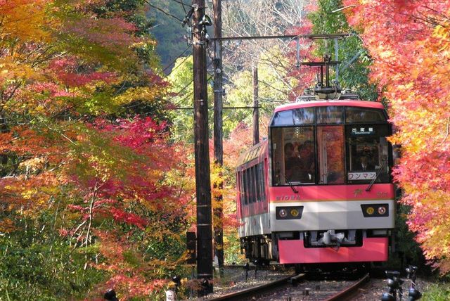 京都　叡山電車と紅葉のトンネル