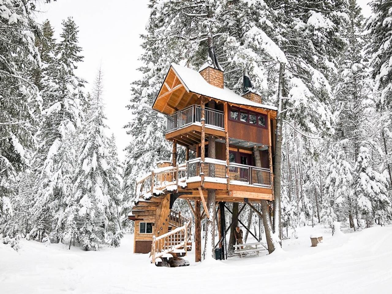 31 Amazing Treehouses You Can Rent In 2020 Best Tree House Vacations