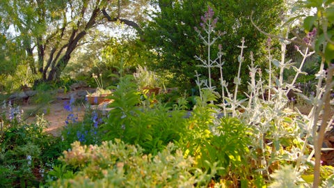 monty don's adriatic gardens, bbc two
