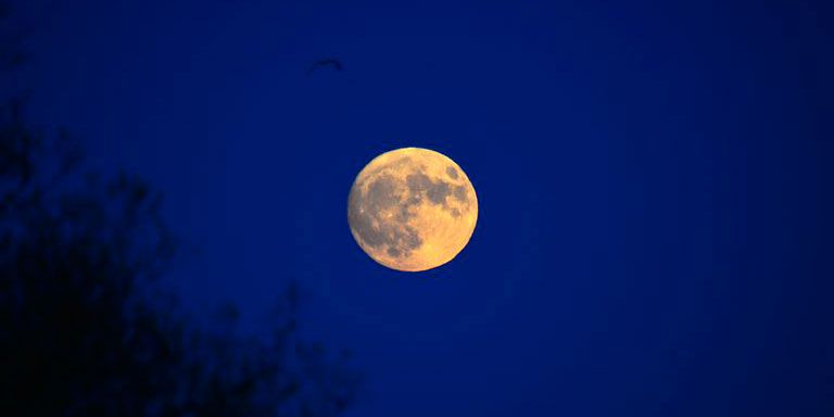 November Full Moon - The Beaver's Moon 2018 Where And When To See