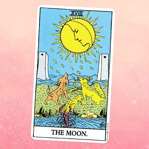 the tarot card the moon, showing a scorpion and two dogwolffox type animals gazing at a moon
