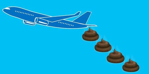飛行機内の排泄物に潜む危険