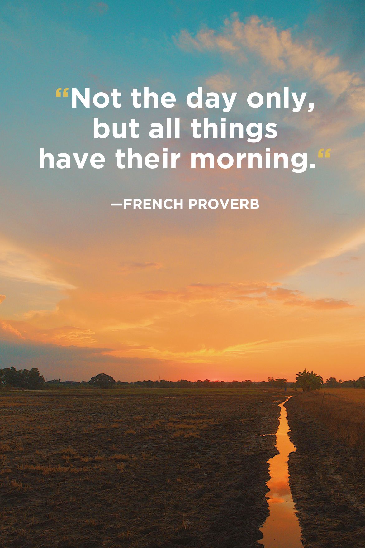 Quotes morning 56 Inspirational