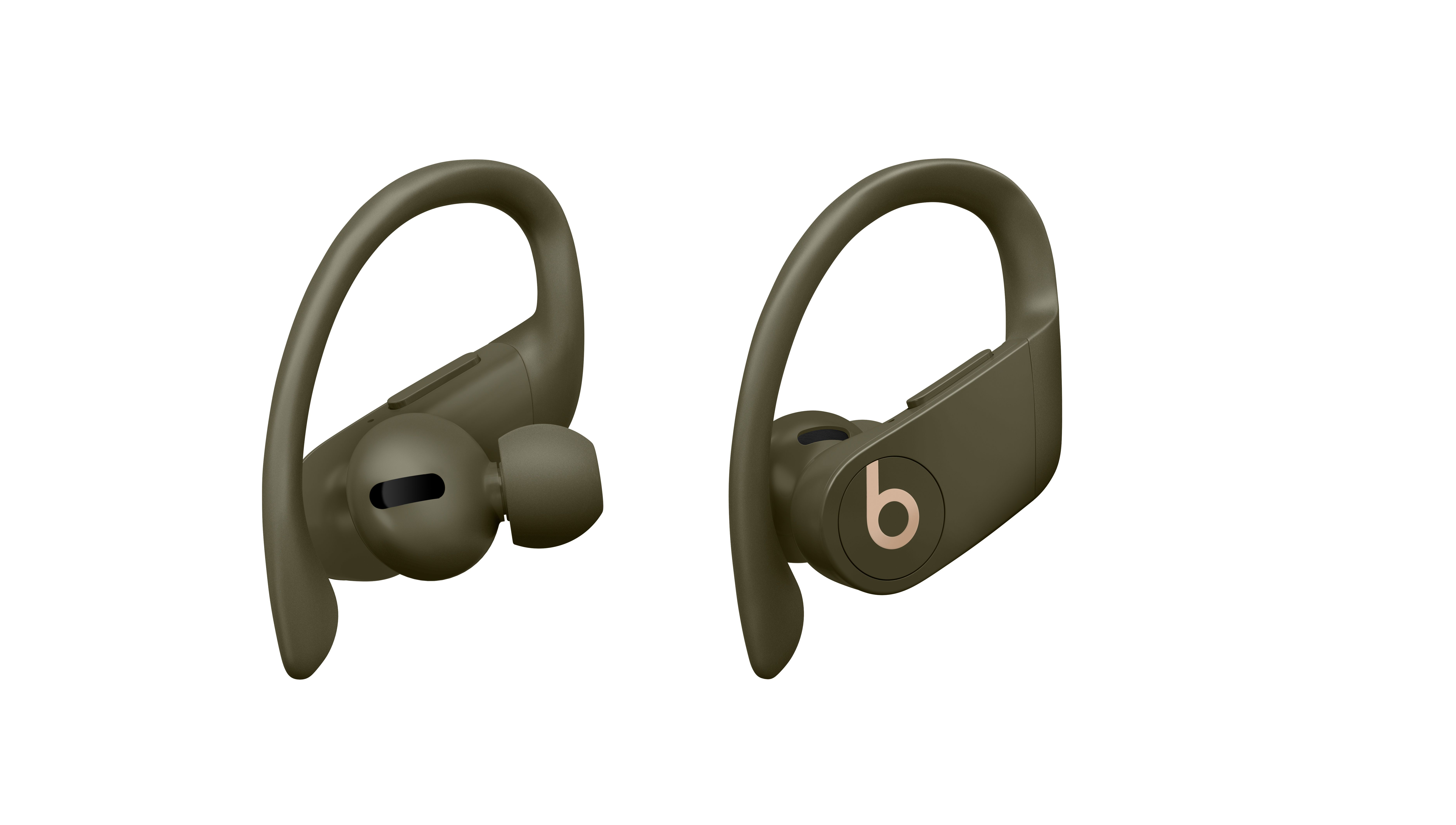 garmin powerbeats pro