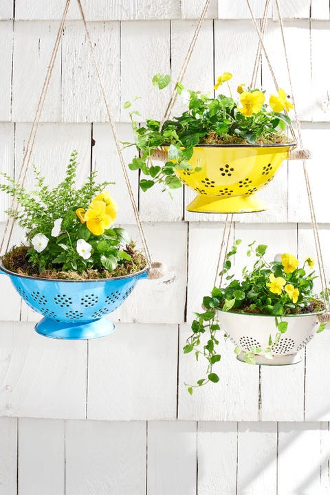 blue, yellow, and white hanging planters, made from enamelware colanders and twine, filled with pansies and suspended in front of a white shingled wall