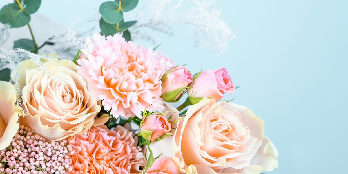 Florabundance - Wholesale Flowers for Floral Designers