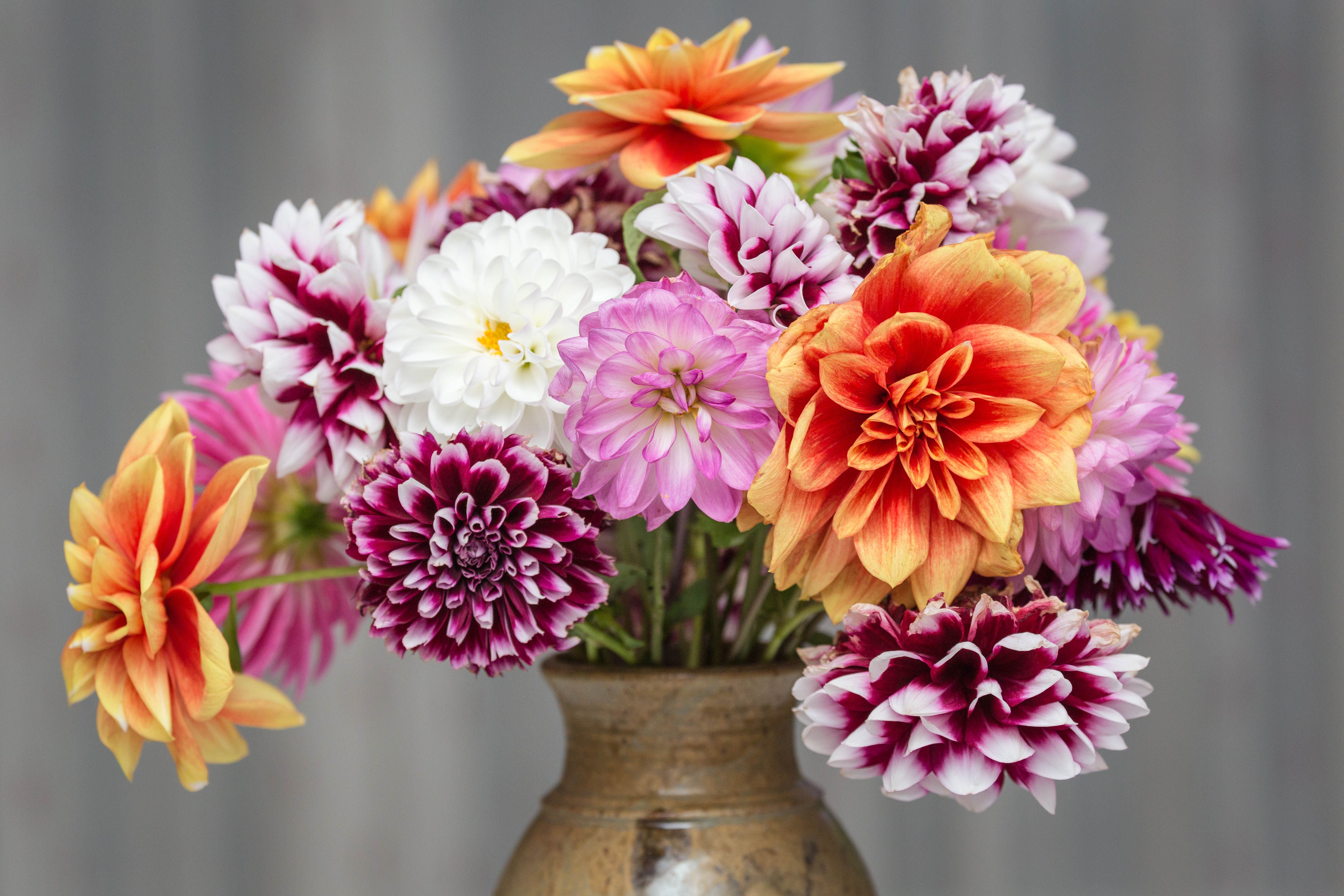 best flower deals for mother's day