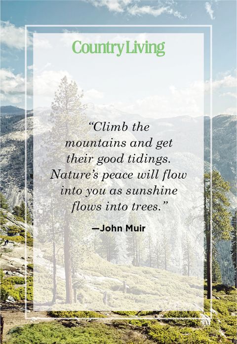 Mountain Quote 