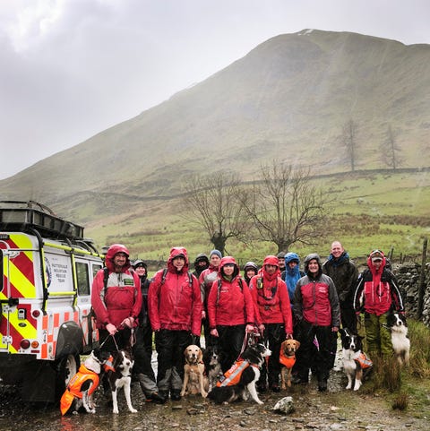 Meet The Lake District Mountain Rescue Search Dogs Association Meet The Lake District Mountain Rescue Search Dogs Association