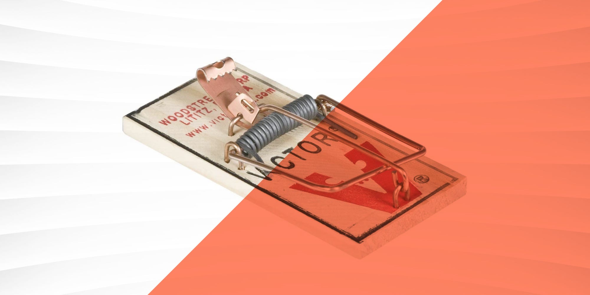Best Mouse Traps
