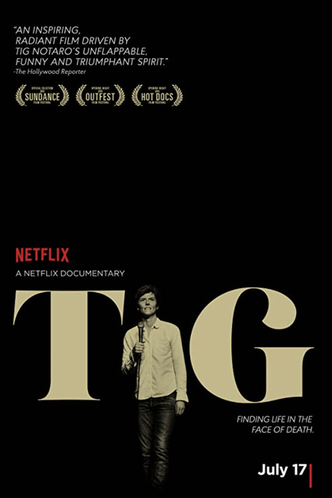 movie poster for tig
