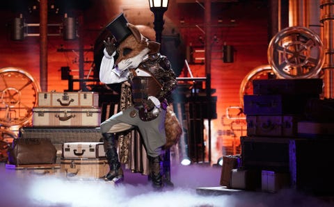 Who Is the Fox on The Masked Singer? Fans Have a Theory