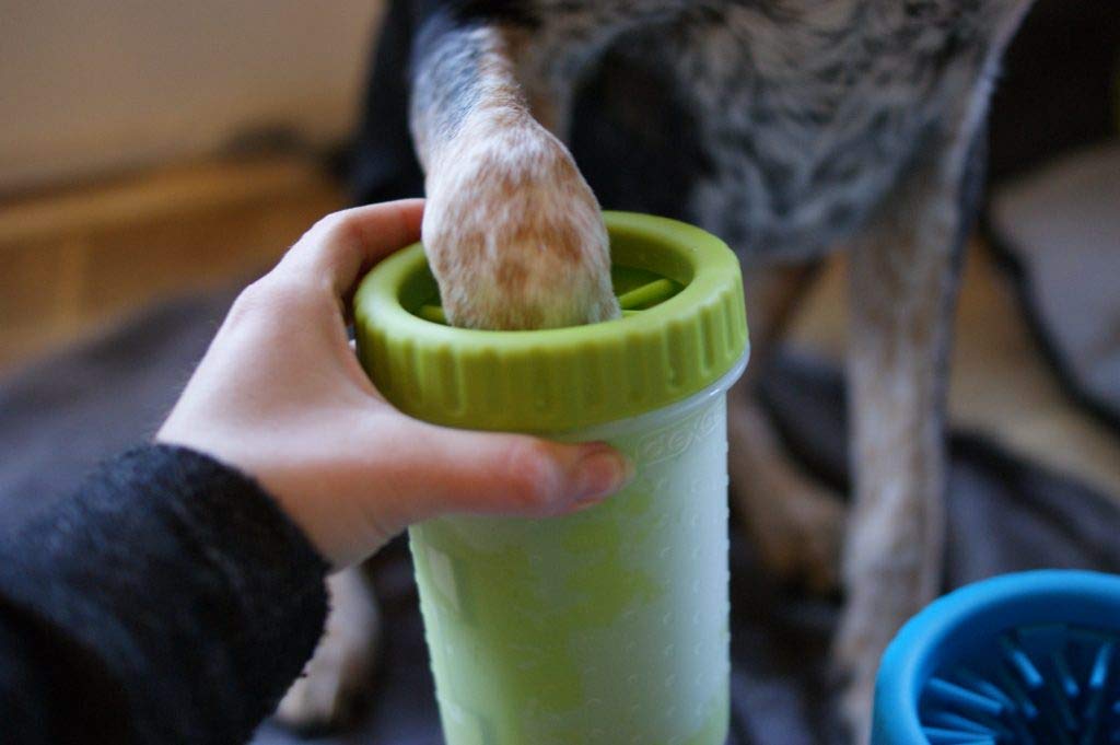 End to Muddy Pawprints in Your Home with This Handy Little Device