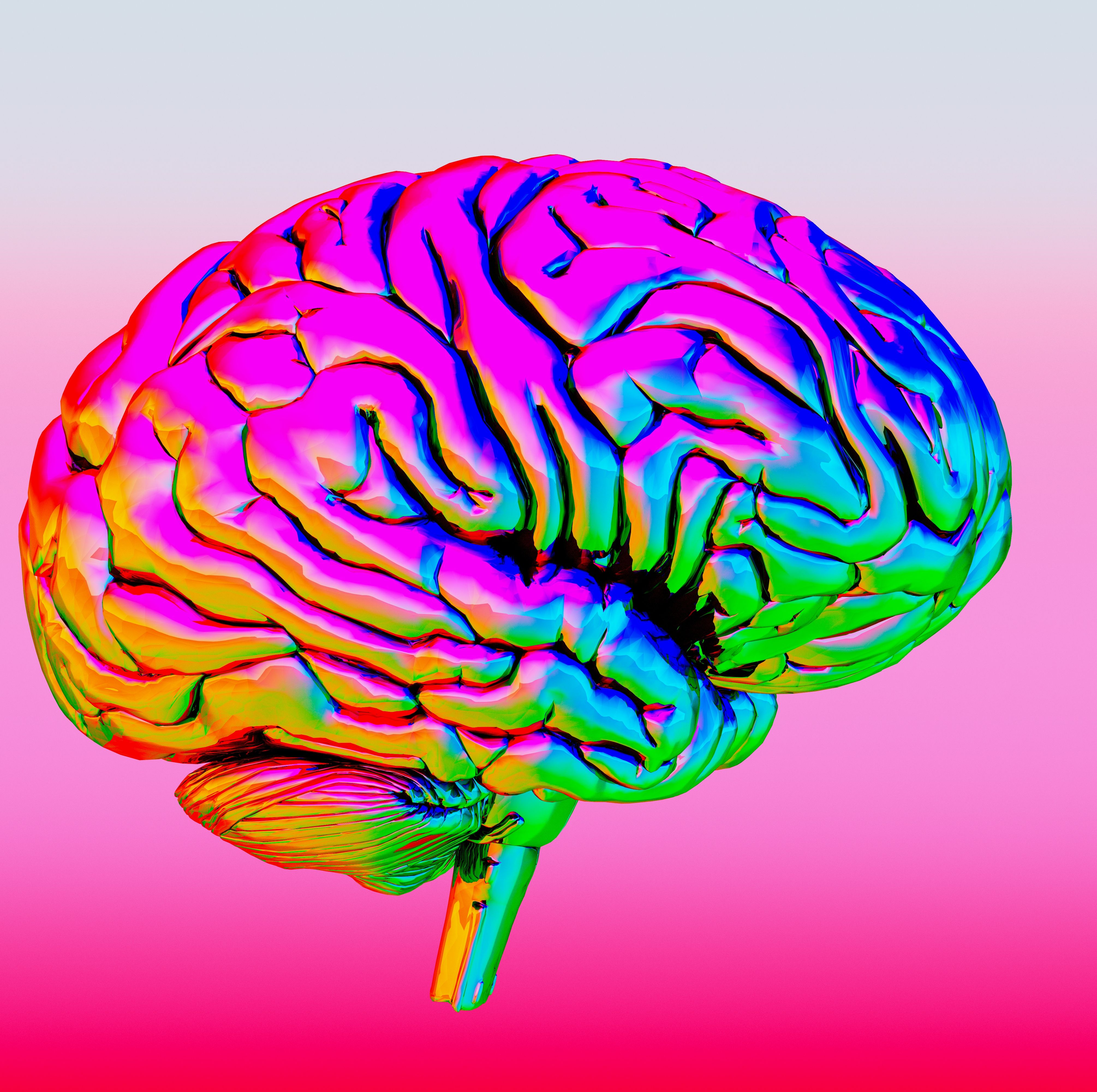 This Brain Structure Could Be the Key to Understanding Consciousness, Scientists Say