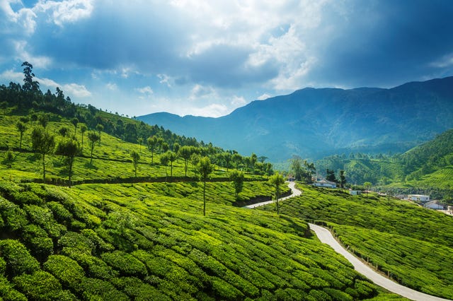 The Ultimate Guide To Kerala