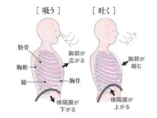 背中 痛い 吸う と 息 息を吸うと胸が痛い 症状の原因・病気一覧・診療科