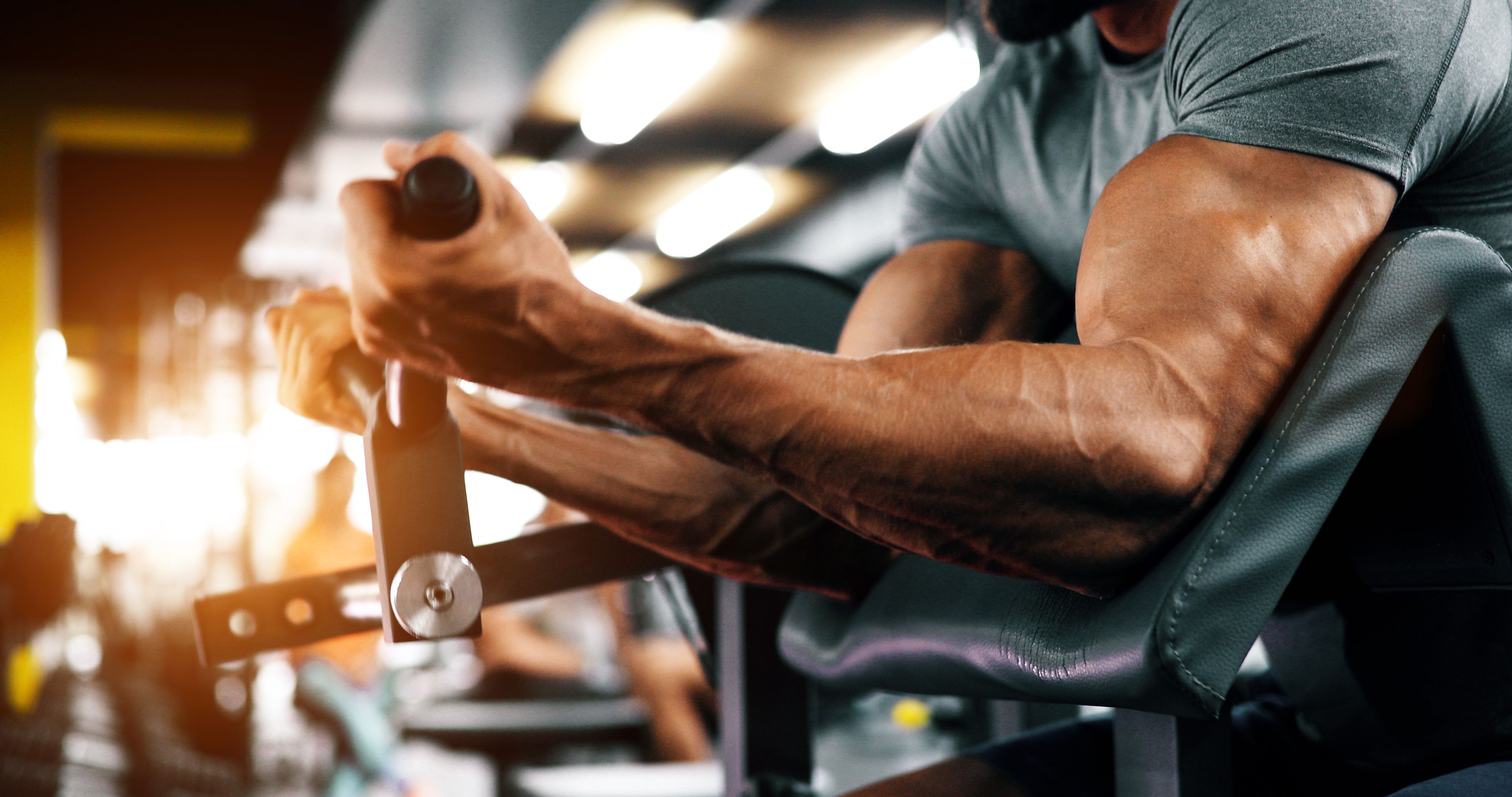 Bicep Exercises | The 10 Best for Building Muscle