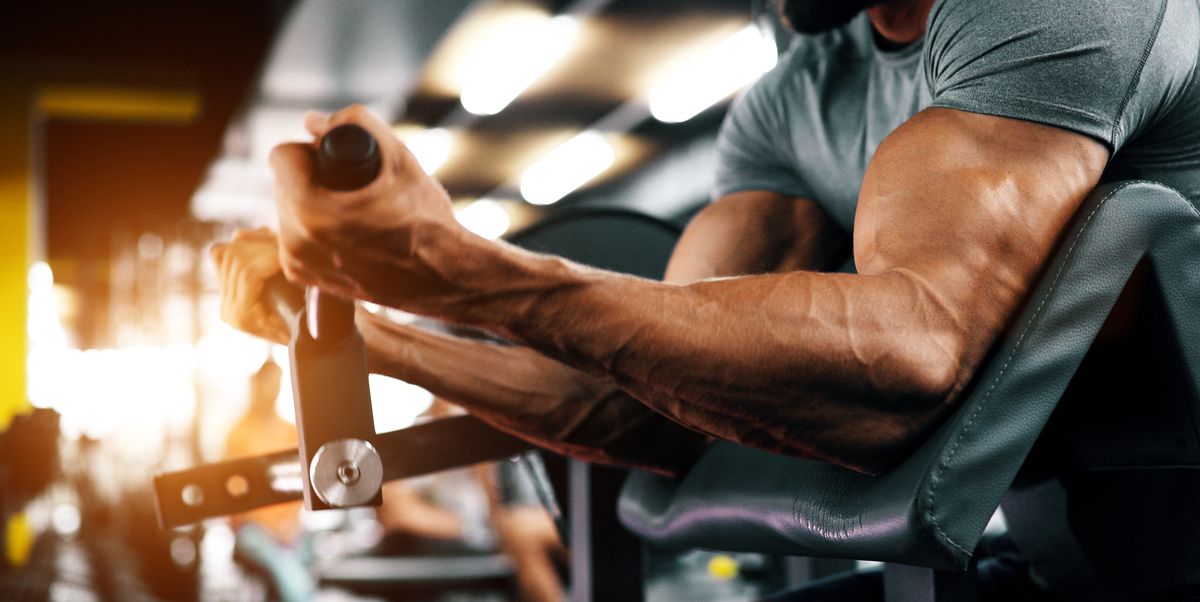 Bicep Exercises The 10 Best For Building Muscle