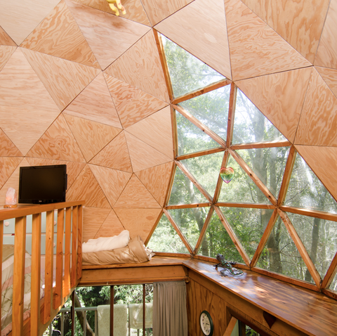 dome treehouse visited
