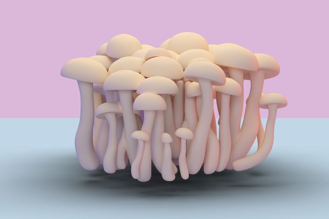 mushrooms, illustration