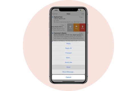 câm email apple