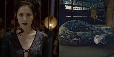 harry-potter-theorie-identiteit-slang-nagini harry-potter-theorie-identiteit-slang-nagini